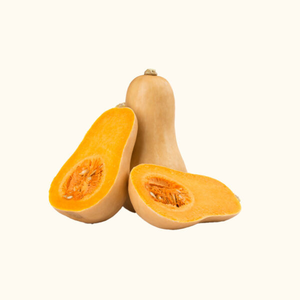 Zucca Violino