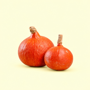Zucca Hokkaido