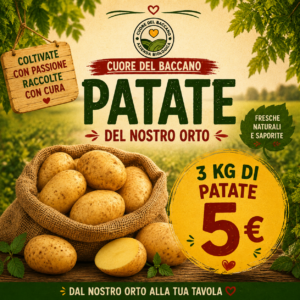 3 KG Patate